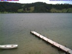 Archived image Webcam Lake &#34;Großer Alpsee&#34; 11:00