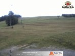 Archived image Webcam Thalerhöhe near Immenstadt 09:00